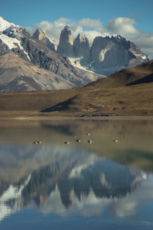 Los patos aprovechan el día de sol nadando por las saladas aguas de la laguna amarga.