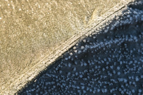 Detalle de mi tienda en la mañana. Mitad al sol de la mañana y mitad a la sombra.