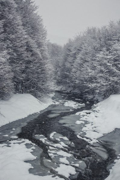 La nieve tiene el encanto de  pintar los paisaje y convertirlos en algo mágico...