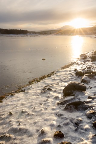 Paseando por los alrededores de Pto. Williams bajo el sol del día.