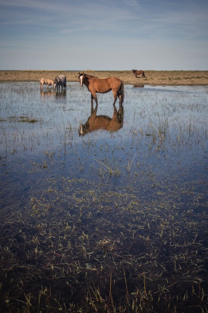 Llegando a la Laguna Rocha el paisaje nos regala imágenes como esta a lo largo del camino.