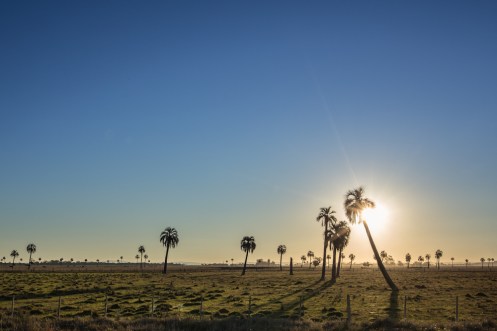 Llegando a Barra de Valizas con las últimas luces del día. Paisajes de carretera.