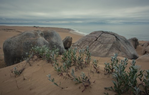 Subiendo a la duna Bellavista se puede ver el esqueleto de que un día fue una montaña de piedras.