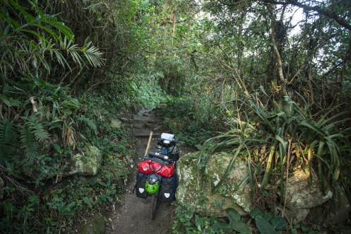 Caminos selváticos que llevan a las playas.