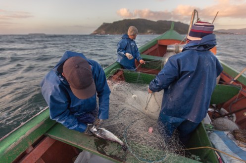 Recogiendo las redes con las primeras luces del día en el barco de Clo.