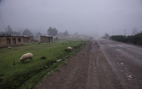 Como si de un pueblo asturiano se tratara atravieso éstas aldeas que viven bajo la niebla.
