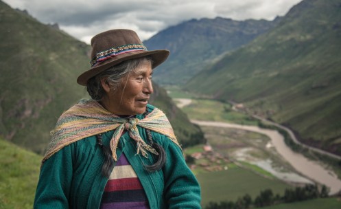 Esta mamita recoge hiervas en las laderas del Valle Sagrado a última hora de la tarde.
