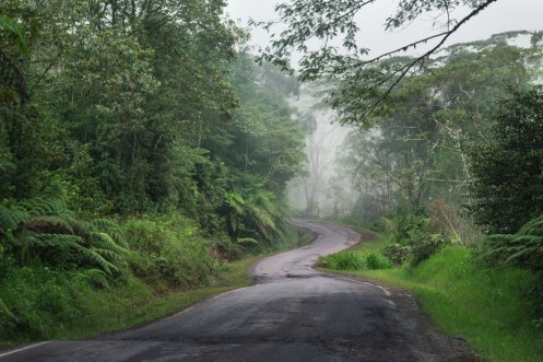 Camino hacia el pueblo de Cacazú. Selva central.