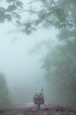 La humedad y la niebla son los elementos predominantes en esta zona de la selva que asciende a los 1200 msnm