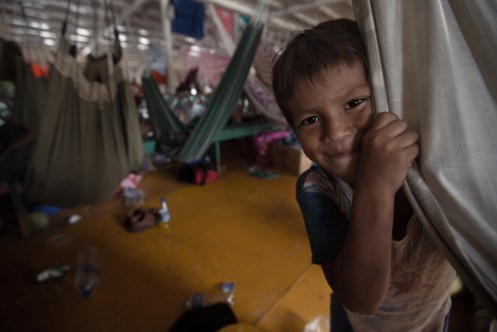 Randy viene a hacerme una visita a mi hamaca.