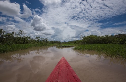 Navegando por los canales que la época de lluvias deja a lo largo de la selva.