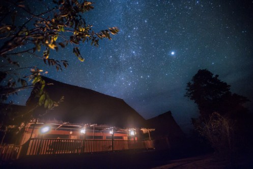 Nuestra casa en la selva.
