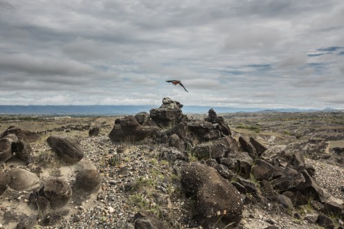 Paseando en el desierto de la Tatacoa por su parte más oriental.