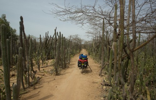 Intento buscar el camino que menos arena tiene, pero se convierte en un laberinto.