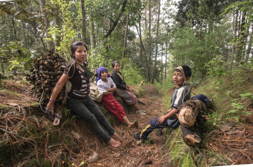 Una familia baja del bosque con leña para su cocina.