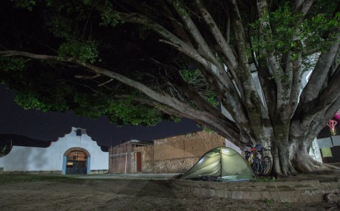 Hoy duermo frente a la iglesia de un pequeño pueblo, bajo un inmenso arbol.