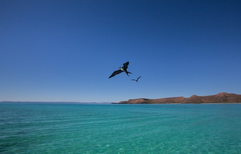 La isla Espiritu Santo es un autentico paraiso escondido en las aguas del Mar de Cortés.