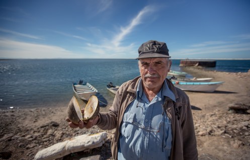 Manuel nació en Sonalá, una zona montañosa de Mexico, y por azares del destino ahora se encuentra viviendo bajo el viejo faro de Guerrero Negro. Almejas como la que sostiene en su mano se encuentran en estas aguas.