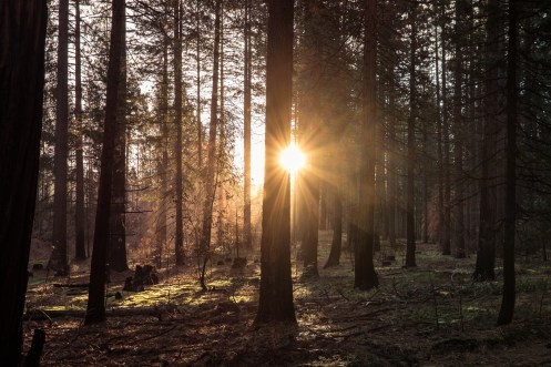 Despertarse antes que el sol y preparar un café siempre es un regalo.