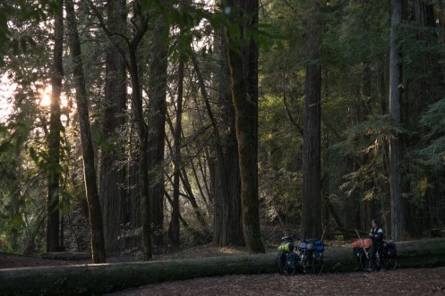 Nos salimos de la carretera para buscar un sitio donde dormir, y no puede ser mejor.