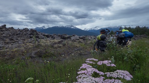 Aiiii mi querida Tatacoa que tan suave me llevas por el mundo sentado sobre tu lomo.