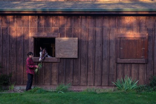 Bea disfruta ayudando a Julie en el cuidado de los caballos durante estos días.