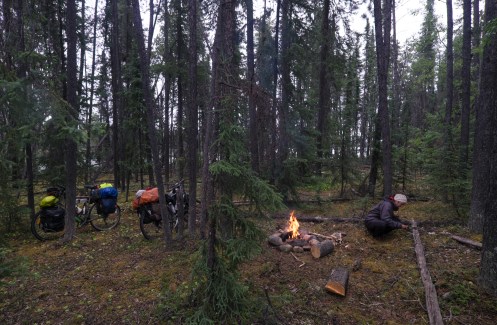 Los arboles son nuestro abrigo para la lluvia, el fuego calor para secar nuestros huesos y los ríos y lagos la despensa donde pescamos la cena. Nuestro instinto florece como el musgo de los bosques, con dirección al norte.