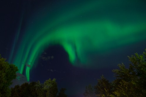Esta aurora boreal salía justo encima de nuestra tienda de campaña en el jardín del Hostel...